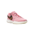 Nike LeBron 20 "South Beast"